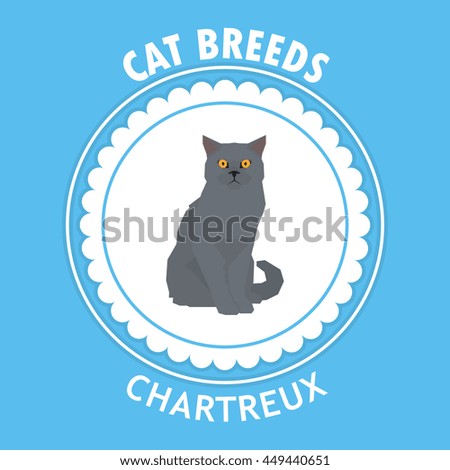 Chartreux, Isolated cat breed, Vector illustration
