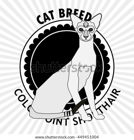 Colorpoint shorthair, Isolated cat breed, Vector illustration