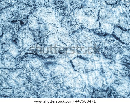 bark or light blue marble