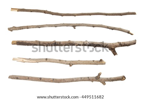 Collection dry branches Twigs isolated on white background Royalty-Free Stock Photo #449511682