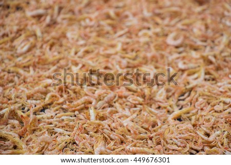 Dried shrimp  background