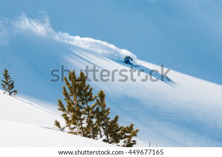 Freerider skiing off piste in deep fresh snow in Zillertal, Austria. Royalty-Free Stock Photo #449677165