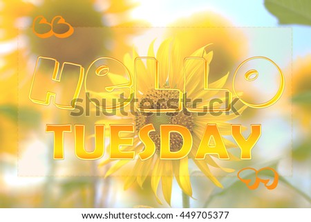 Hello Tuesday on sunflower background
