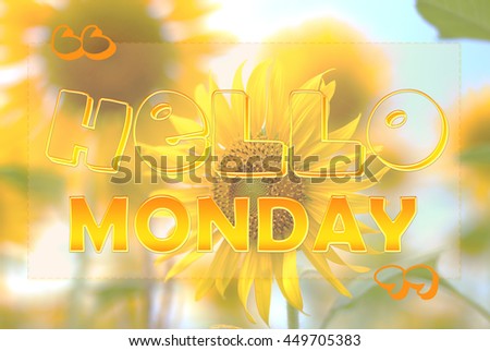 Hello Monday on sunflower background