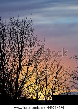 Silhouetted with trees and dramatic colorful sunset and sunrise bright colors beautiful sky. Autumn landscape.
