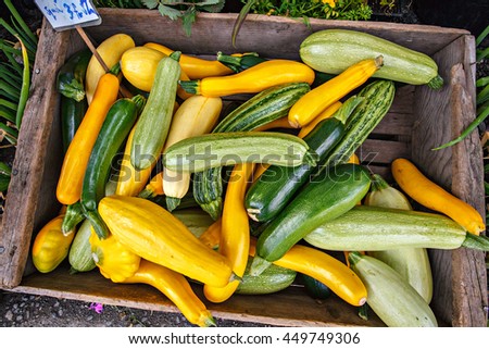 Wooden box of organic squash at a local farmers market. Royalty-Free Stock Photo #449749306