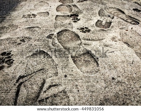 Man and dog footprints on the cement floor , footprint , people , dogs , concrete , footprint, people , dog tracks