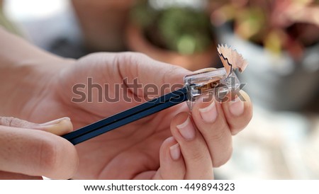 Hands sharpening pencil                                Royalty-Free Stock Photo #449894323