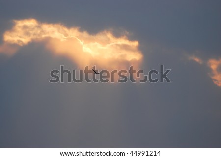  A dark, sunset sky, with sun rays and flying bird