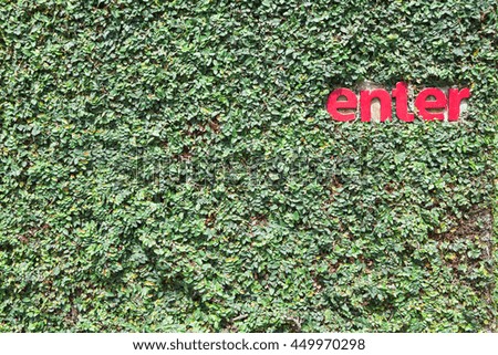 Enter sign on green leaves wall for concept business welcome.