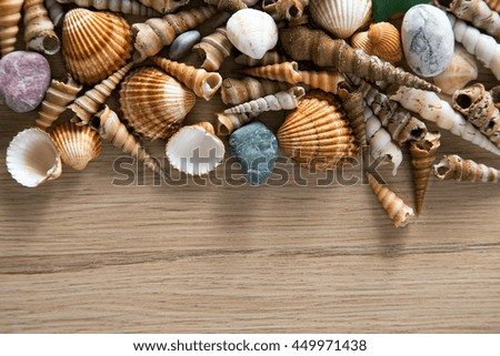 Beautiful background of sea shells and sea stones