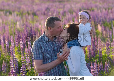 Portrait of a family on a background of field lupine. Daddy kisses mom. In the hands of mother baby daughter