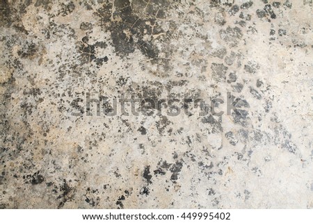 background textured surface cement on the walls