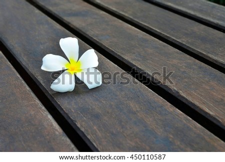 Plumeria, Beautiful flower on wood floors
