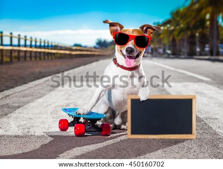 jack russell terrier dog  riding a skateboard as a skater , with sunglasses in summer vacation close to the beach, holding a banner or placard