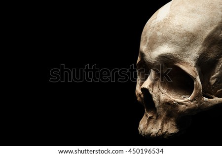 Female skull isolated on black background