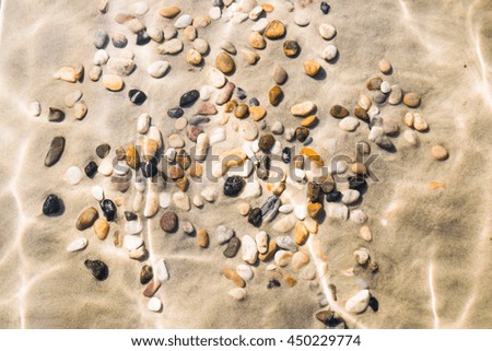 Shells on the sandy seabed at high tide.