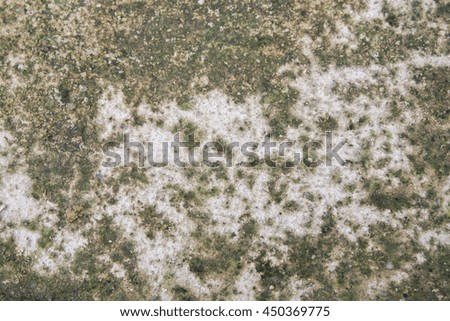 background textured surface cement on floors have green moss 