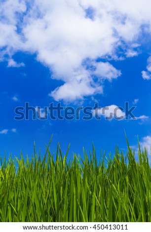 Grass and cloudy sky - abstract nature background