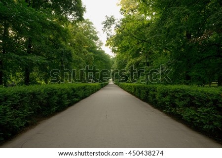 long road lined park with trees and shrubs