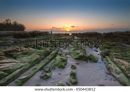 sunset view of green moss covered rocks boulders  at Kudat Sabah Malaysia.  Image may contain soft focus and blur.