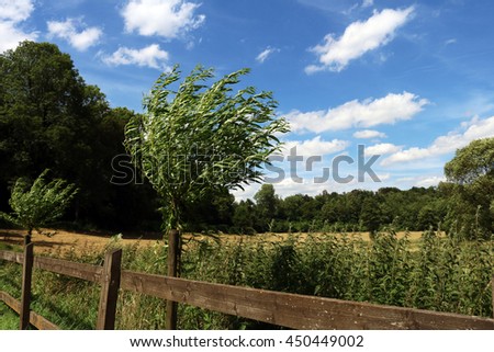 Farmland landscape