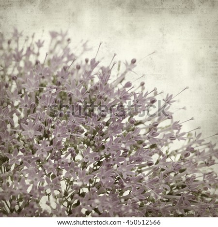 textured old paper background with small lilac pentas flowers