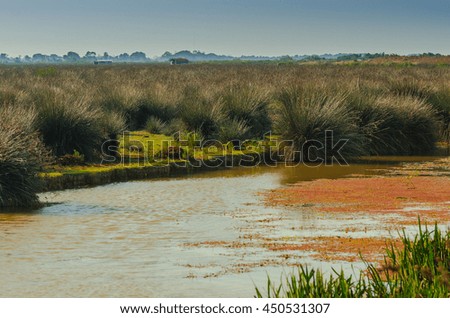Wetlands in the Kizilirmak delta Black Sea Province of Turkey