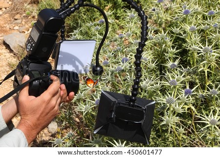 Macro photographing insects in nature. Photographer takes pictures of insects (butterfly) outdoor. Wildlife, technological progress and people