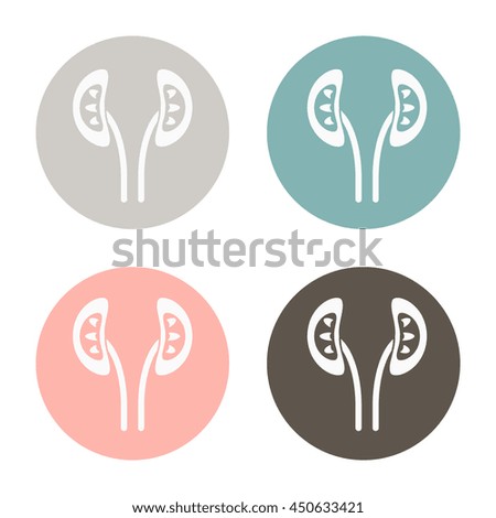 Simple icon of human kidneys. anatomical kidney vector icon.