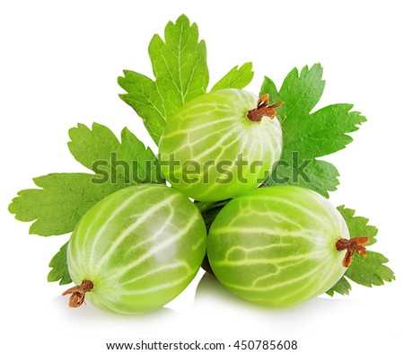Fresh green gooseberry with leaf close-up isolated on a white background.