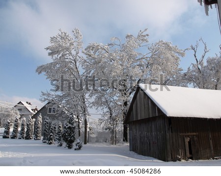Winter picture from village.