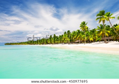 Coconut Palm trees on white sandy beach in Punta Cana, Dominican Republic Royalty-Free Stock Photo #450977695