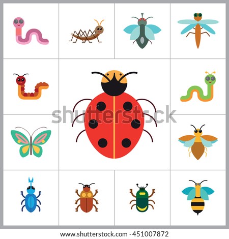 Insects Icon Set