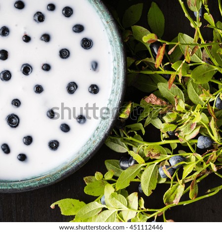 Blueberries with yogurt in rustic bowl and blueberry plant leaves, isolated on black background. 