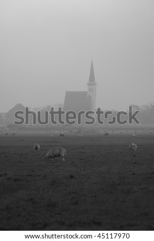 A photo of a village on texel