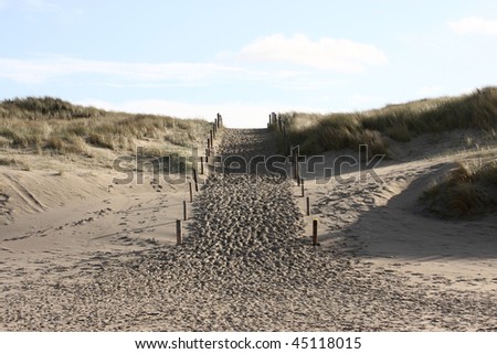 A photo of the dunes in the Netherlands