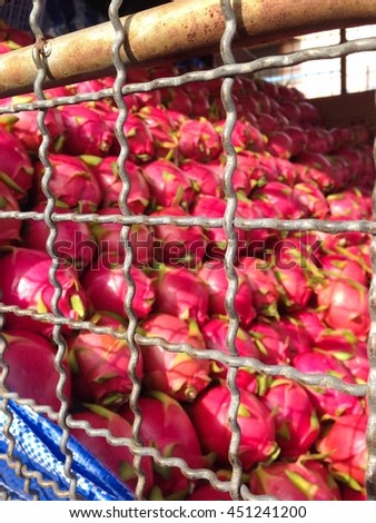 Many dragon fruit was delivery to sell at the market