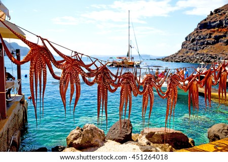 octopus        drying  in the sun europe greece santorini and light Royalty-Free Stock Photo #451264018