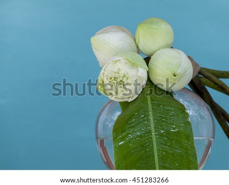 Fresh white lotus flower on round shape vase with space on blue background