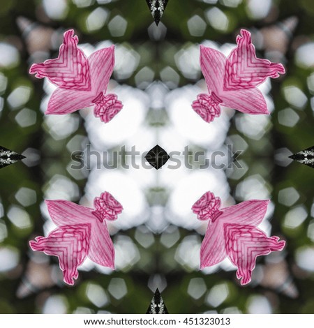 mandala pink flower for background