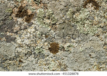 Ancient stone surface with moss and lichen.
