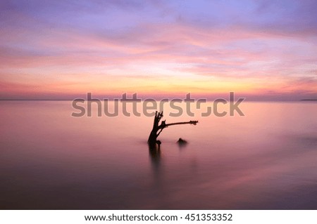 Silhouette of single tree at sunrise. Soft Focus due to Long Exposure Shot. Copy Space Area.