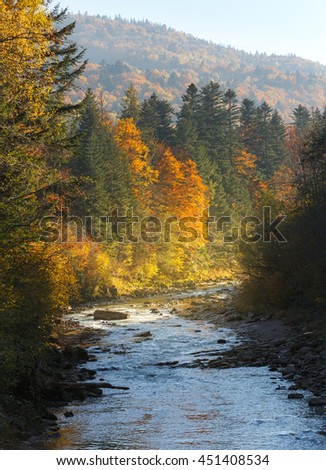 Landscape mountain river in autumn forest at sunlight. Nature background.