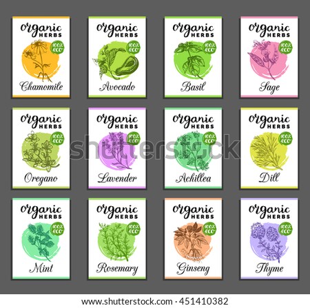Herbs and spices cards set. Hand drawn medicinal, cosmetic plants collection. Engraving botanical illustrations tags. Vector healing wild flowers sketches for labels.