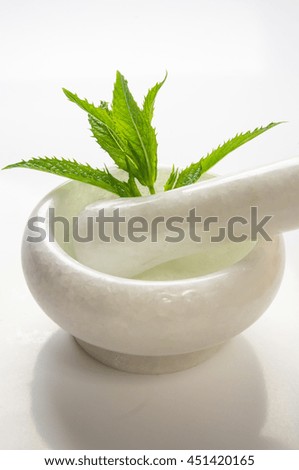 Fresh spearmint herb Mentha in the marble mortar with a pestle, on a white background