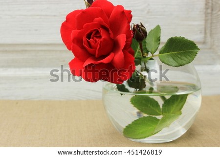 Romantic composition with a single red rose in a glass ball. Concept for birthday, valentine, mothers day, anniversary. Floral decor