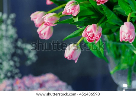 A picture of tender pink tulips in the front of a blurred background