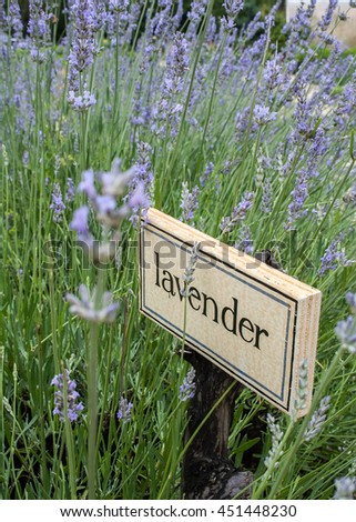 Sign in a lavender field