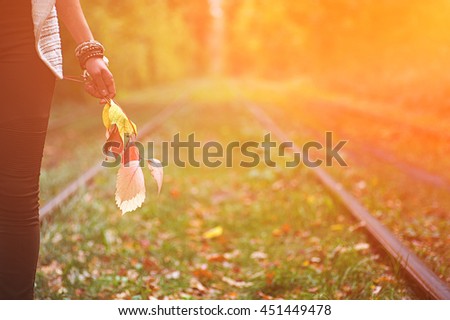 woman sitting on rail trails and holding colorful autumn leaves.  natural autumn background